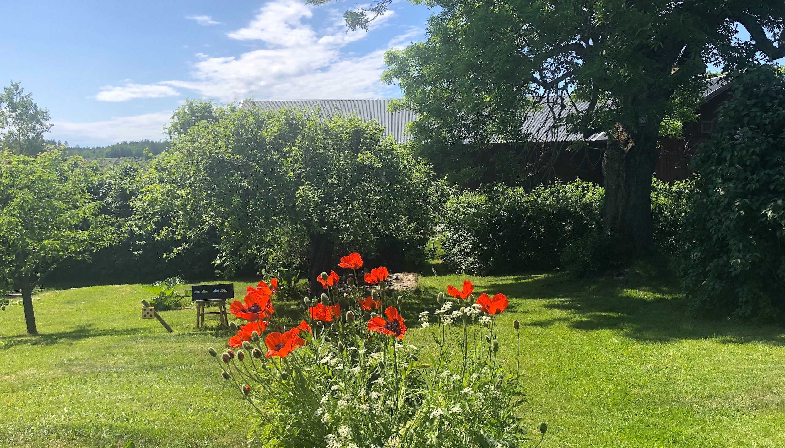 Sommar i stugan och drömmen om asiatiska julbord - MatMalin.se